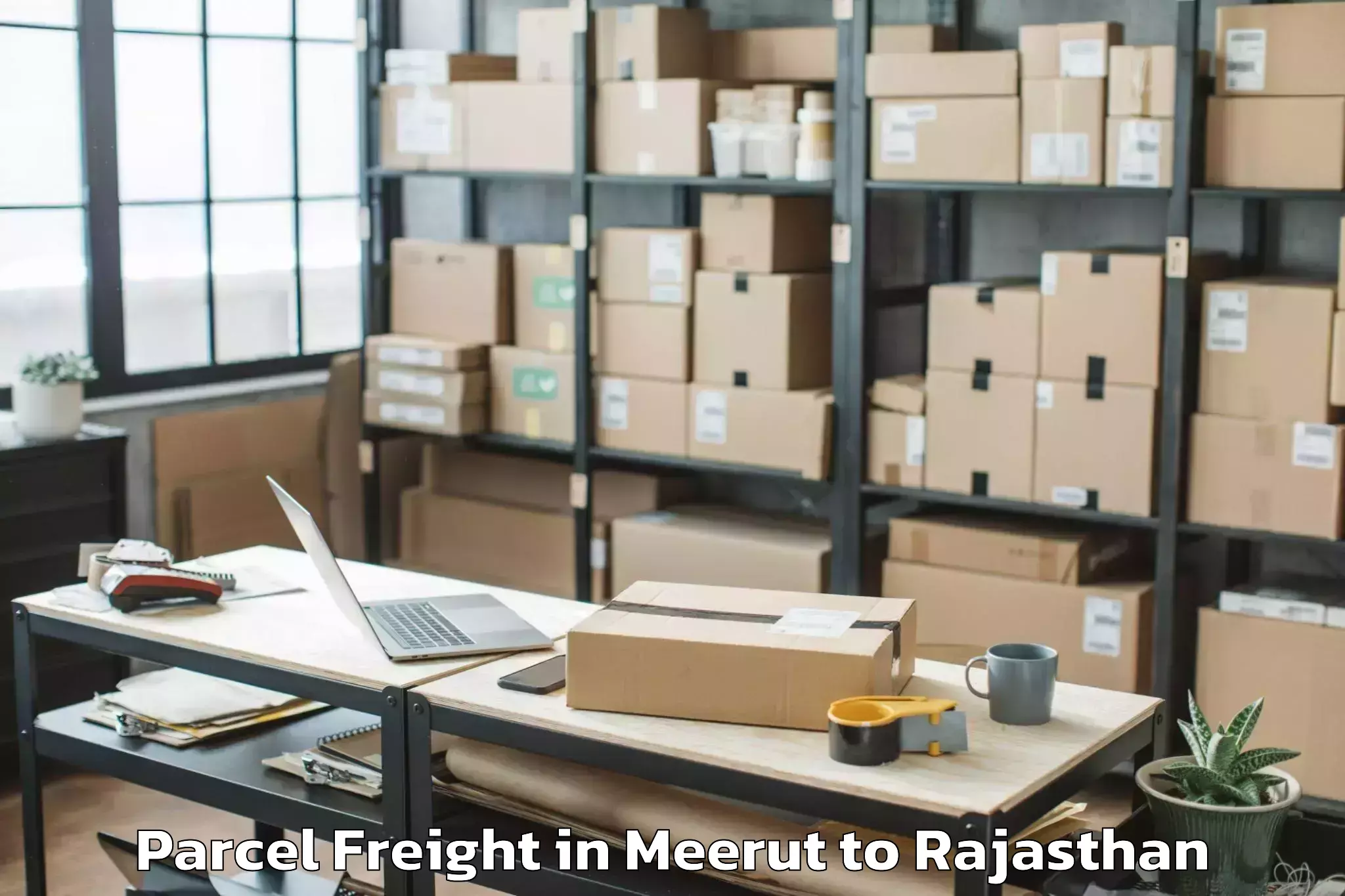 Leading Meerut to Nohra Parcel Freight Provider